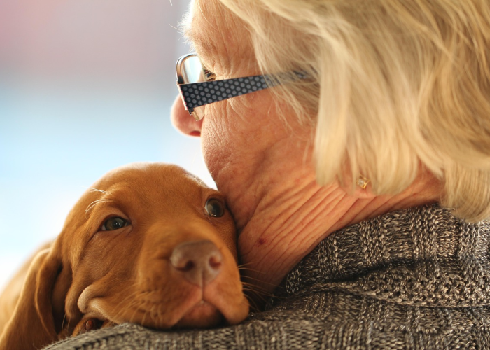 详细了解“Poker World能怎么开挂”(内幕太坑人了)-知乎 详细了解“Poker World能怎么开挂”(内幕太坑人了)-知乎