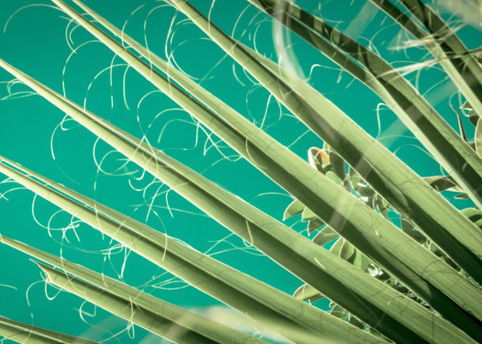 「重大科普」“微乐捉鸡麻将透视软件教程”(内幕太坑人了)-知乎