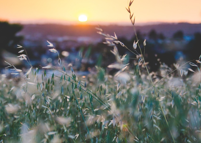 在时光裂缝中寻找爱的回声，最美的时光2剧情深度解析