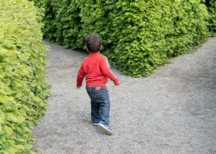 佟楼中学,一所乡镇中学的生存、挑战与微光 佟楼中学,一所乡镇中学的生存、挑战与微光