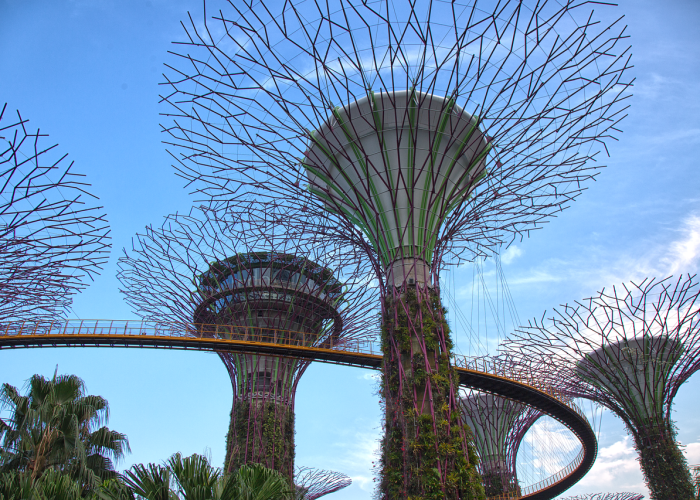 给牌友讲解“大金牙麻将有没有开挂软件”(其实确实有挂)-知乎