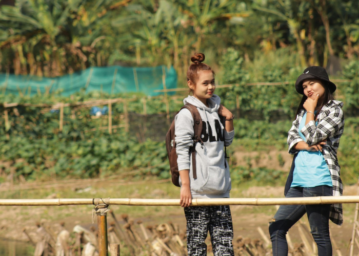 2006年高考，一场在蝉鸣中定格的青春战役