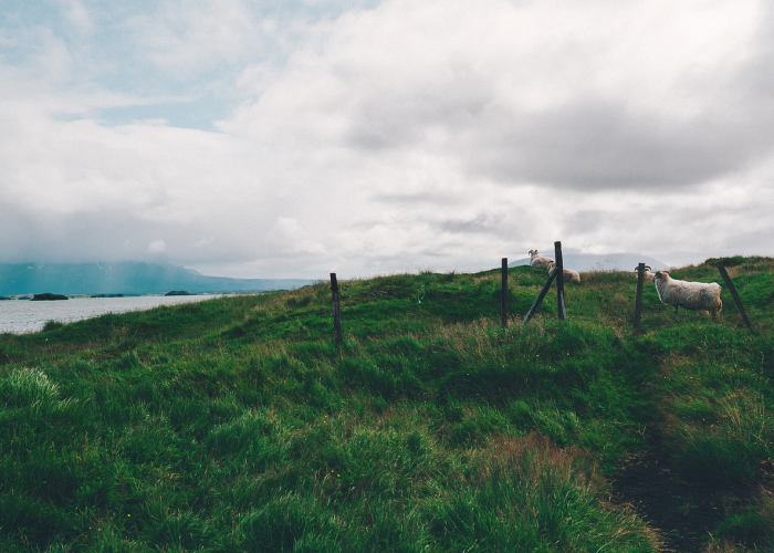 揭秘十大“九九麻将有没有挂”(原来确实有挂)-知乎