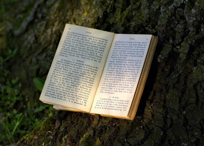 十大通报“心悦麻将有没有开挂透视”(果然有挂)-知乎