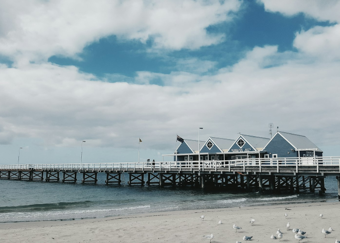 一分钟揭秘“阿当比鸡如何开挂”(确实有开挂)-知乎