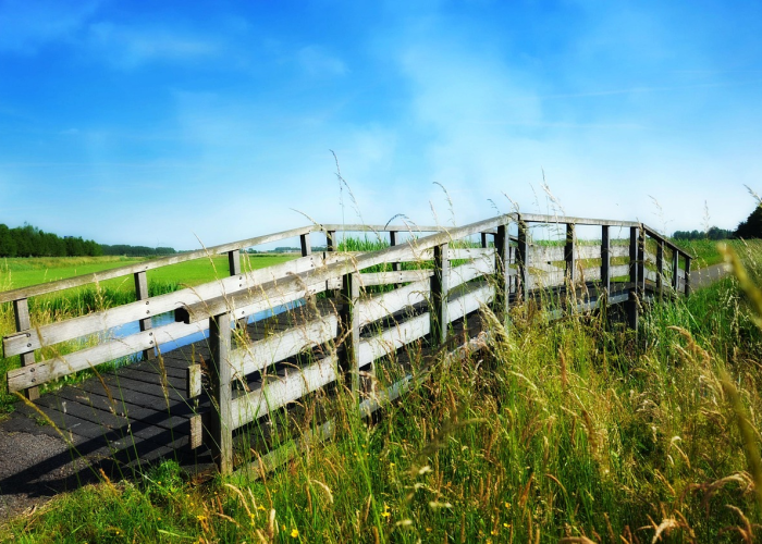 终于明白“丽水跑得快其实真的有透视”(千真万确有挂)-知乎
