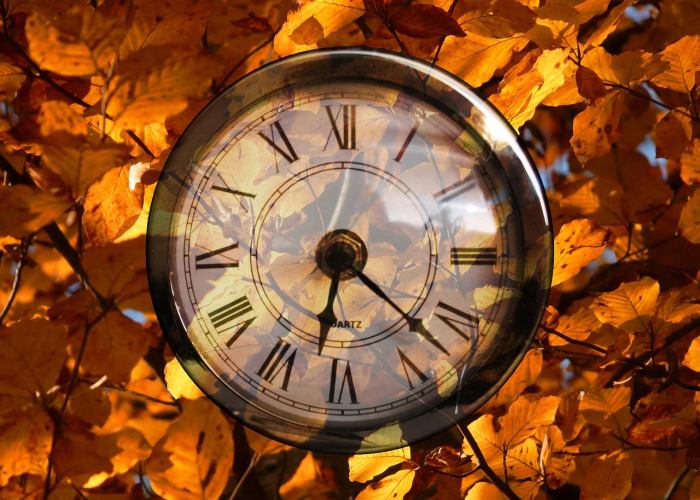 终于发现“经典联盟是不是有透视辅助”(千真万确有挂)-知乎