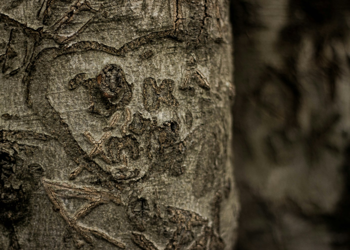 阿拉善,风沙雕刻的秘境,生命铸就的丰碑 阿拉善,风沙雕刻的秘境,生命铸就的丰碑