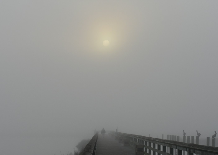 山海之间的浪漫漫步,一份深度与松弛并存的大连旅游攻略 山海之间的浪漫漫步,一份深度与松弛并存的大连旅游攻略