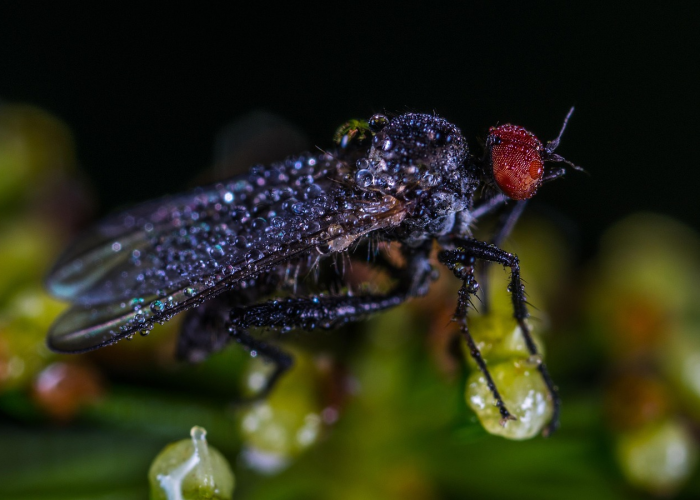 31省昨日新增病例数据发布，精准防控下的疫情态势观察