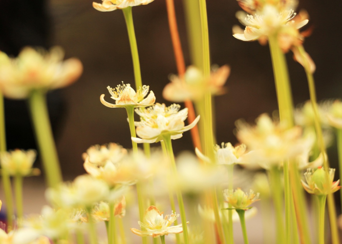 数字背后,是115个等待被看见的春天 数字背后,是115个等待被看见的春天