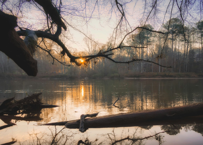 分享苹果版“云水谣如何开挂透视”(原来确实有挂)-知乎