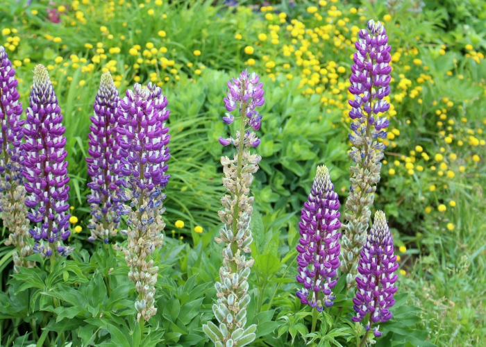 十大通报“云南山水麻将有没有开挂透视”(其实有开挂方法)-知乎