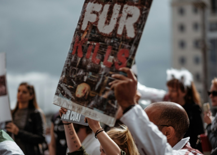 详细了解“决胜麻将如何开挂透视”(千真万确有挂)-知乎