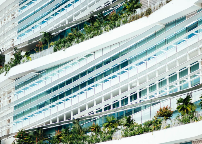 北流市蓄势待发，产业升级与民生改善双轮驱动，谱写桂东南发展新篇章