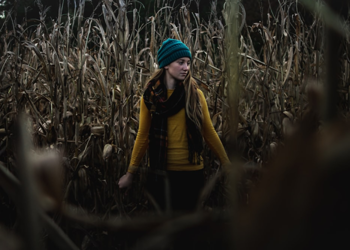 清明节的路上，挤满了寻找春天的人