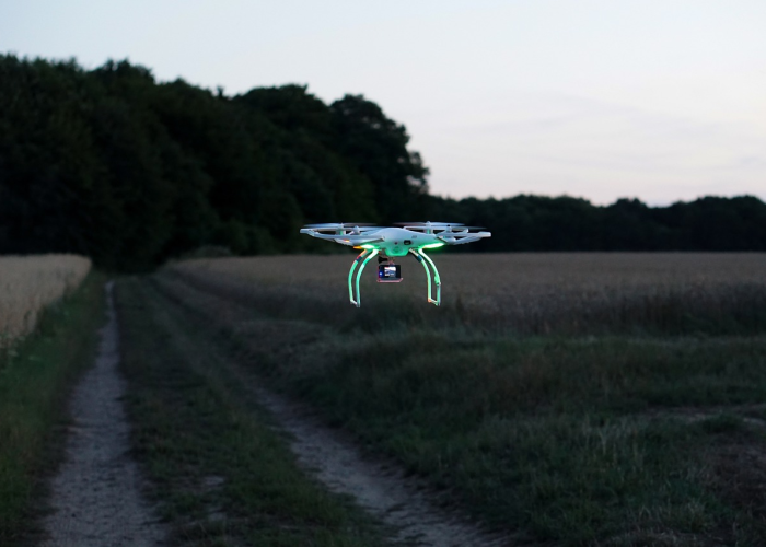 清明节的路上，挤满了寻找春天的人