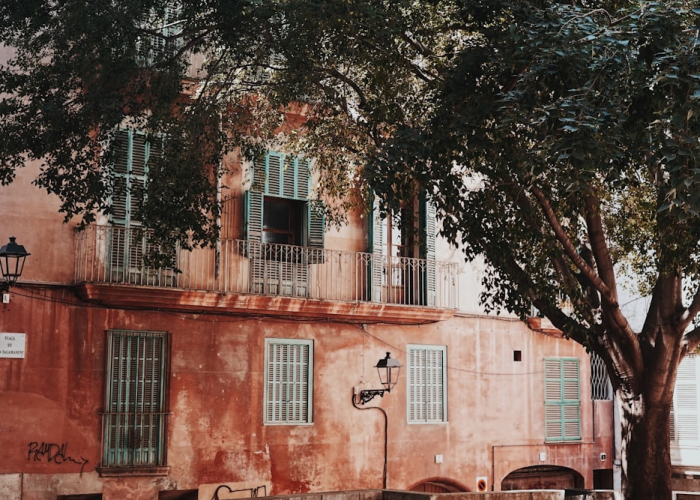 合浦防疫,一座千年港城的静与动 合浦防疫,一座千年港城的静与动