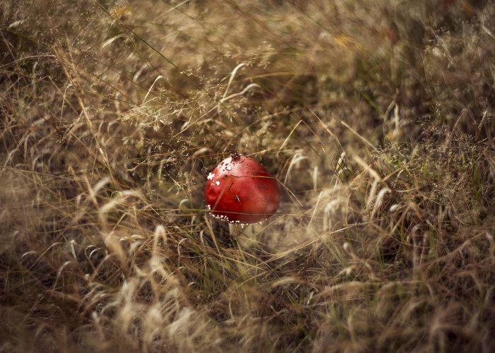 「重大消息」“同城上饶开挂辅助教程”(果然有挂)-知乎 「重大消息」“同城上饶开挂辅助教程”(果然有挂)-知乎