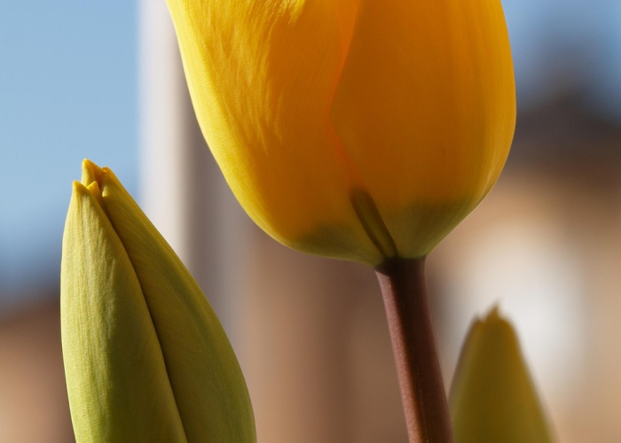 详细了解“新蜜瓜透视挂有吗”(果然有挂)-知乎