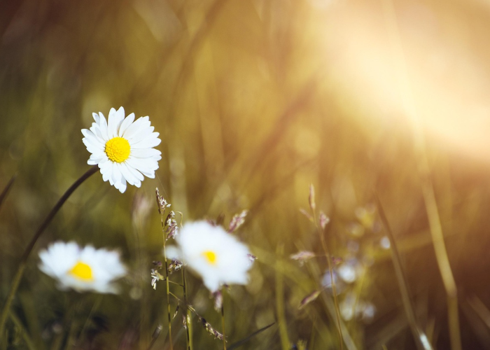 清明雨上，慎终追远，2021年，我们这样赴一场春天的祭奠