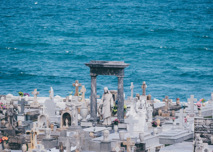 了解十大“青橙竞技透视开挂教程”(详细开挂猫腻)-知乎