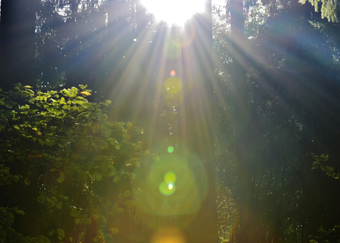5月30日，被遗忘在时光褶皱里的文明密码
