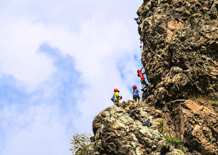 奉贤区今日疫情动态，最新防控进展与居民生活提示