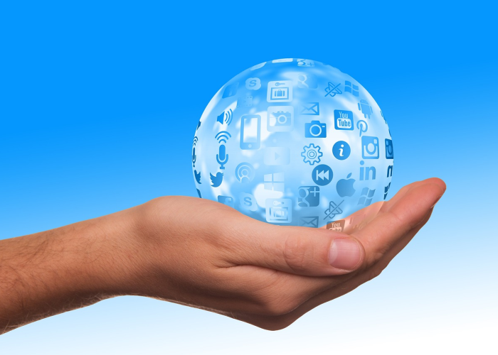 学区迷雾，寻找育民小学背后的教育地图与集体焦虑