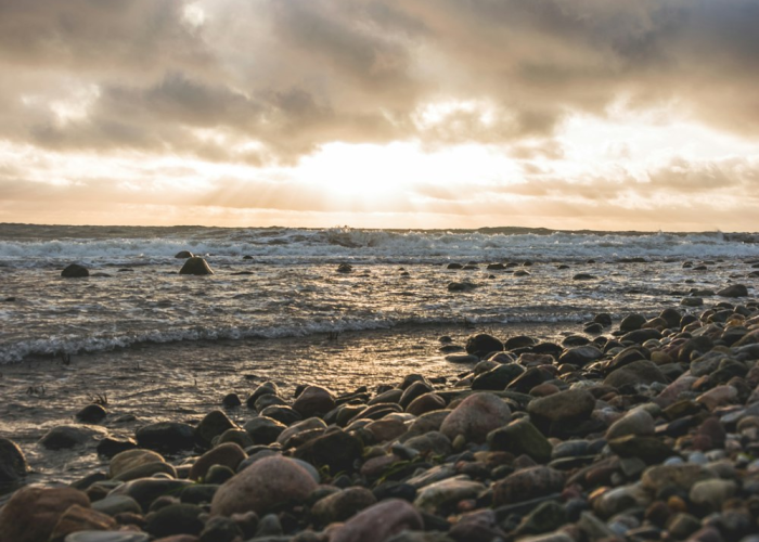 一图一世界，一句一微光，疫情中的正能量短句与图片如何点亮我们的生活