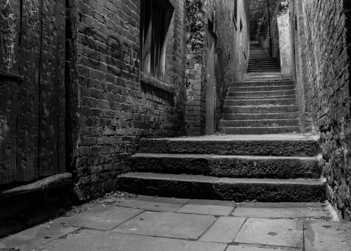 天津3月8日，海河畔的百年回响