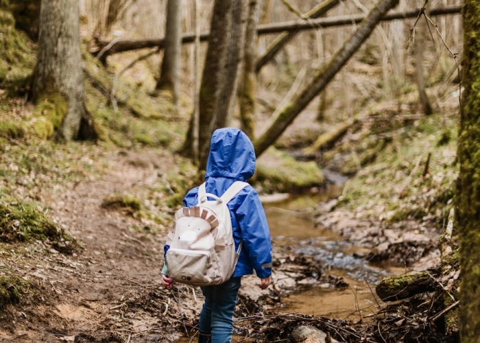 免费通行背后，清明节的路与家