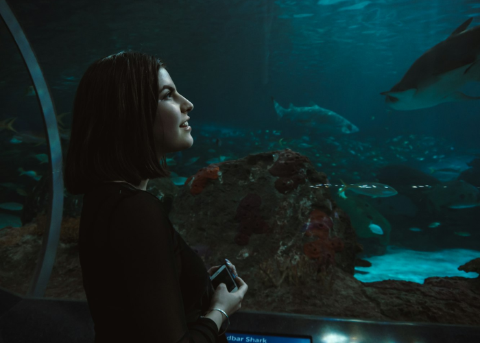 派对女郎，霓虹灯下的清醒与迷途