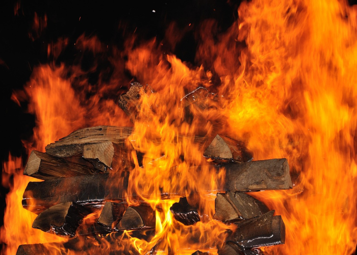 零感染国家,全球抗疫中的孤岛与背后现实 零感染国家,全球抗疫中的孤岛与背后现实