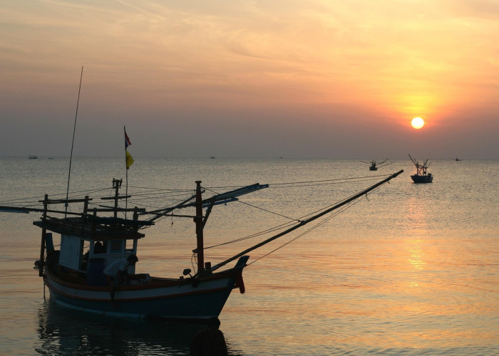 警报试鸣日，青岛上空回荡的钟声与记忆