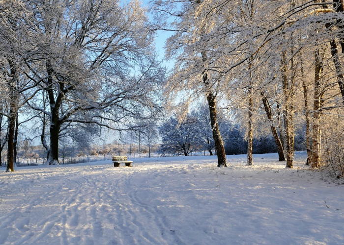 冰雪集结号，全球共赴冬奥之约，有多少国家参与这场盛会？