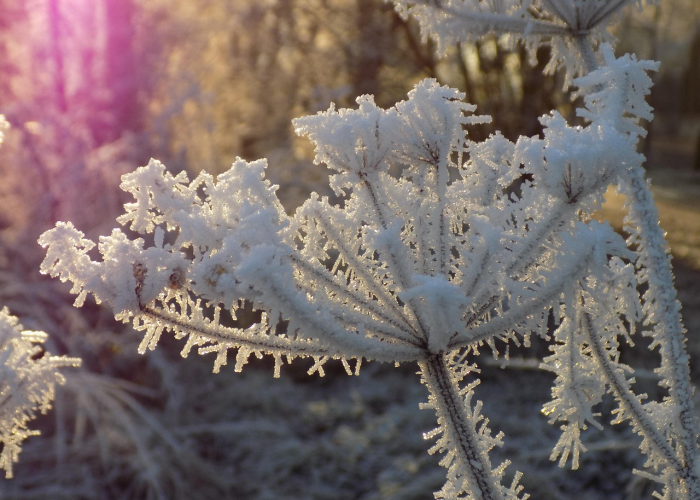 从数字到决策，新冠肺炎实时动态数据如何重塑我们的抗疫认知与行动