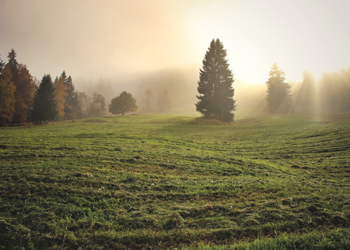 河北三河，解封之路与希望之光