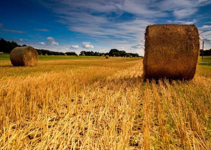 河北怀来,大数据中心热了,葡萄藤下算出新未来 河北怀来,大数据中心热了,葡萄藤下算出新未来