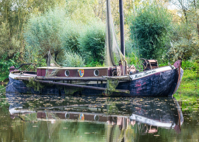 西安防疫政策调整，核酸检测报告要求已取消，但出行仍需关注实时动态