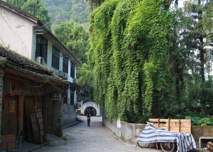 苏州限行政策，古城保护与交通治理的平衡之道