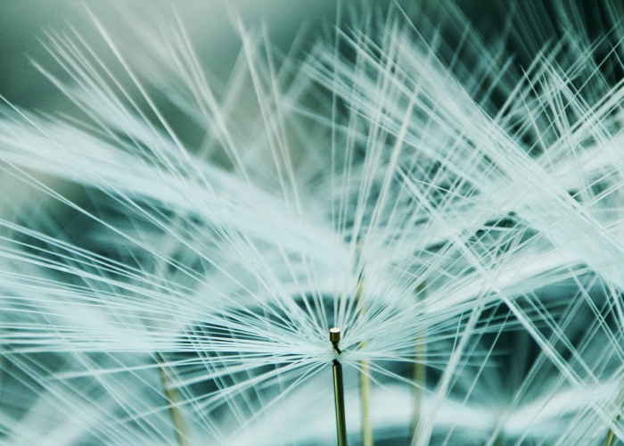 上海核酸检测，常态化防控下的动态选择