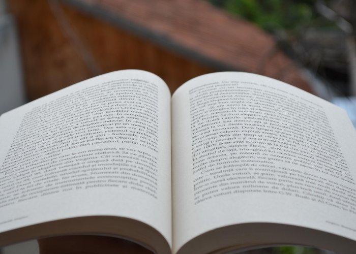 两副牌记牌实战指南,从入门到精通的系统方法 两副牌记牌实战指南,从入门到精通的系统方法