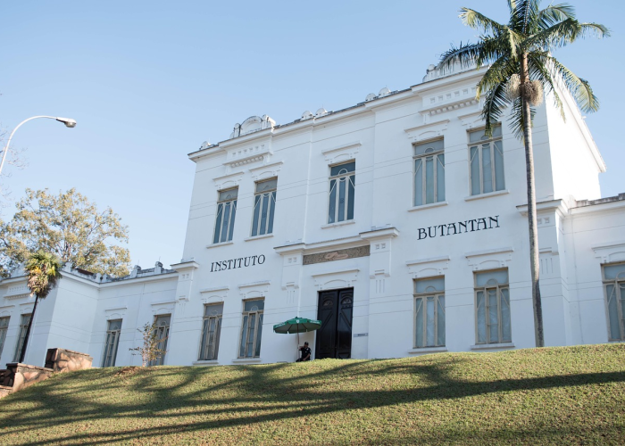 全球疫情最新动态，变异株传播、疫苗进展与防控新挑战