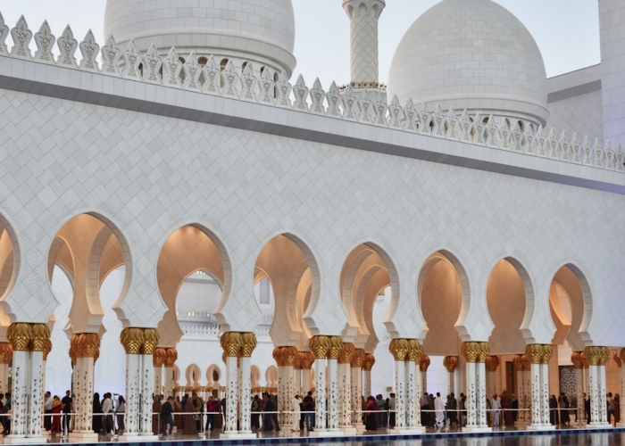 阿联酋迪拉姆，沙漠中的黄金纽带与未来金融雄心