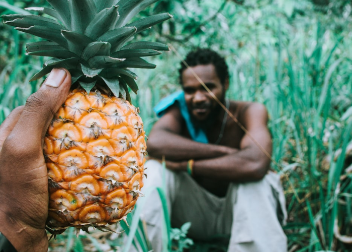 分享苹果版“智星德州-菠萝到底有没有挂”(原来确实是有插件)-知乎