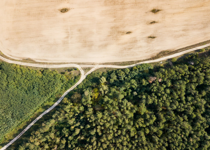 郑州4地风险等级调整，最新防控动态与市民应对指南