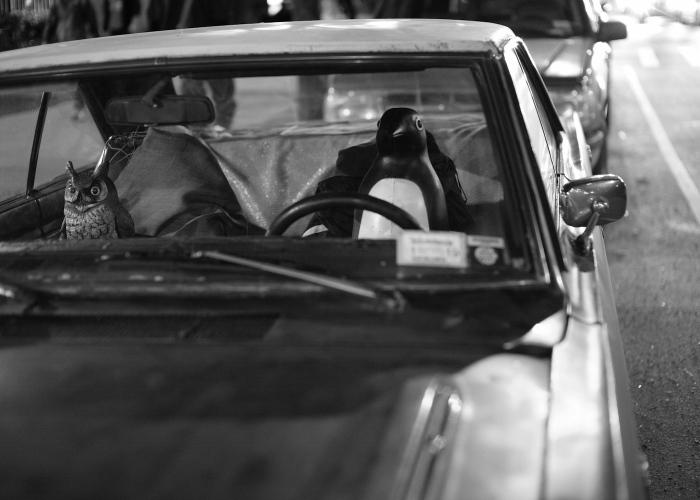 终于发现“飞驰娱乐透视挂有吗”(其实确实有挂)-知乎