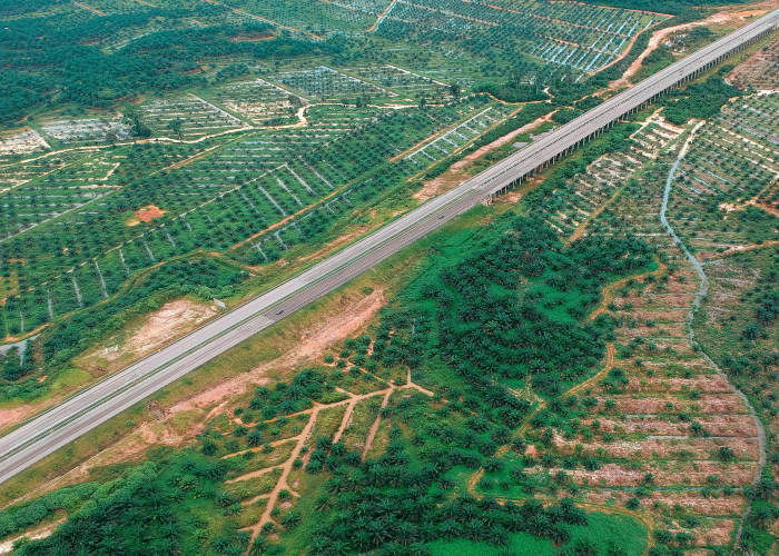 2020年河北疫情分布图景，关键节点与区域防控回顾