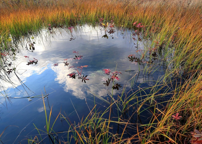 清远最新疫情发布，科学防控，守护北江安宁